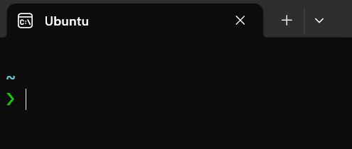 Starship 的初始界面