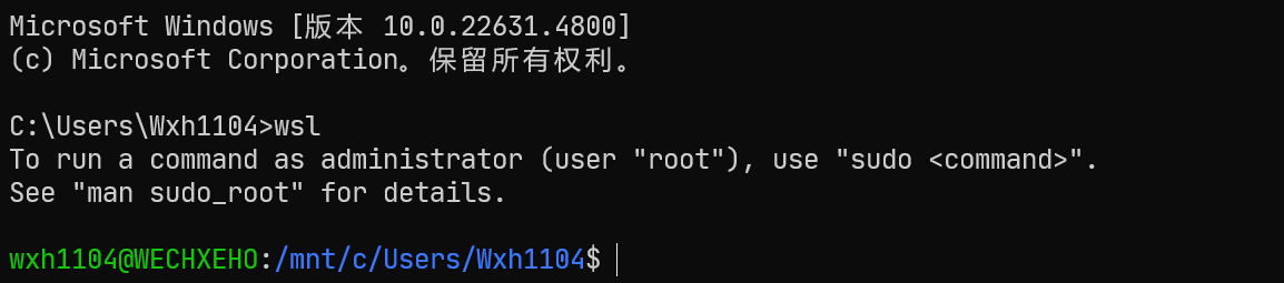 运行命令后的命令提示符界面
